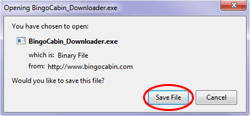 bingo cabin download instructions save file