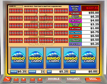 bingo cabin deuces wild video poker online casino game